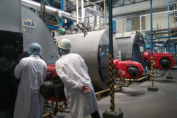 Điều kiện và quy trình kiểm định lò hơi đảm bảo chất lượng